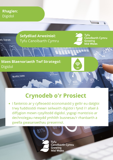 Gwybodaeth am Rhaglen Digidol