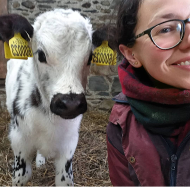 Calf with Dyfi Dairies founder, Sophia